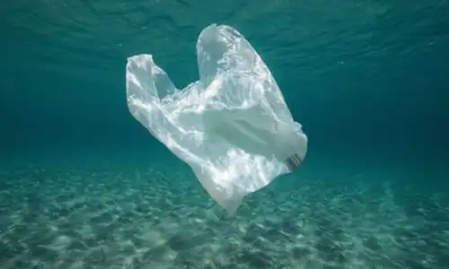 plastic-bag-drifting-in-ocean